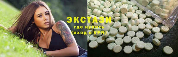 ECSTASY Богданович